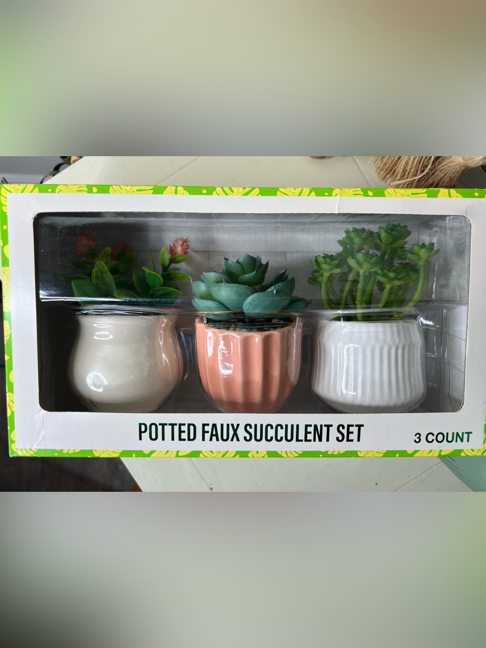 Brand new-Festive Voice-Potted Faux Succulent Set-Set of 3